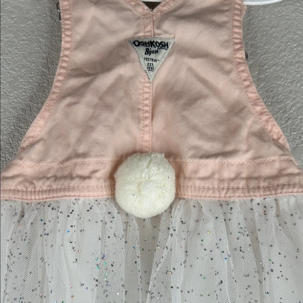 OshKosh‎ B'gosh Girl's Pink Bunny White Tulle Silver Sparkle Skirt Overalls 3T